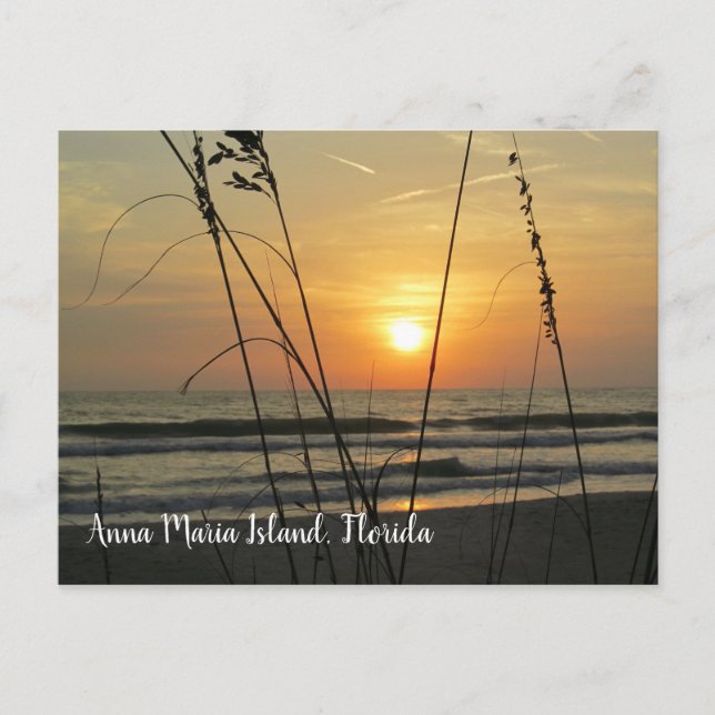 Carte Postale Coucher de soleil Anna Maria Island Floride (Devant)