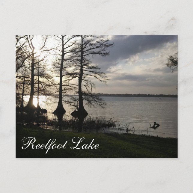 Carte Postale Coucher de soleil au lac Reelfoot (Devant)