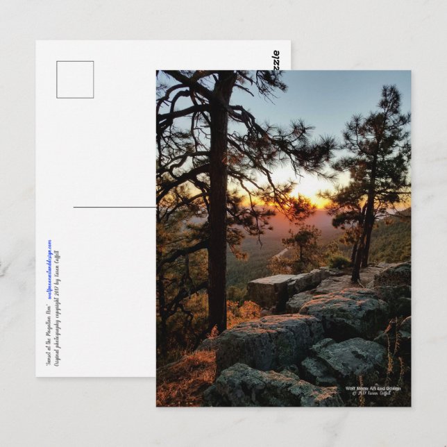 Carte Postale Coucher de soleil au Mogollon Rim Arizona (Devant / Derrière)