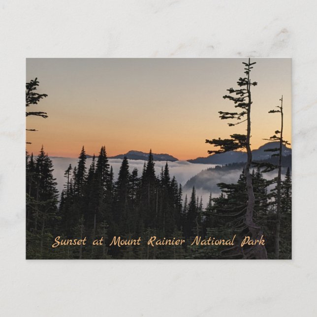 Carte Postale Coucher de soleil au Mont Rainier Postard (Devant)