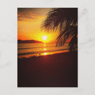 Carte Postale Coucher de soleil au paradis