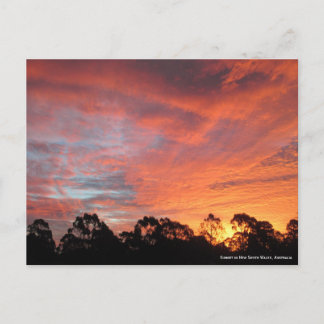 Carte Postale Coucher de soleil australien