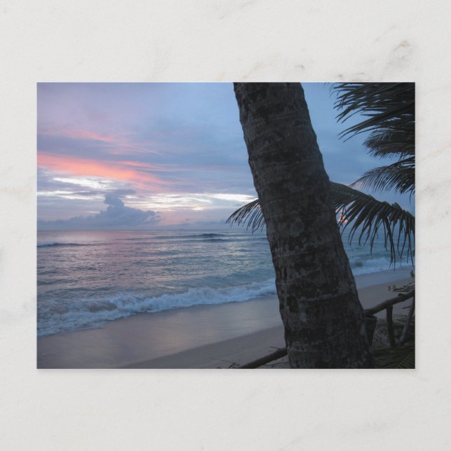 Carte Postale Coucher de soleil avec arbre @ Sri Lanka (Devant)