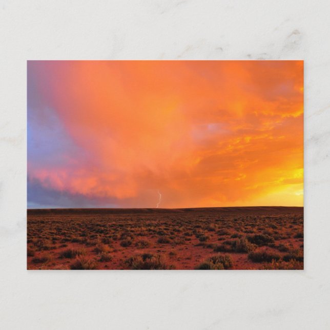 Carte Postale Coucher de soleil avec éclairs sur le désert (Devant)