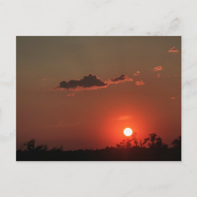 Carte Postale Coucher de soleil Biloxi (Devant)