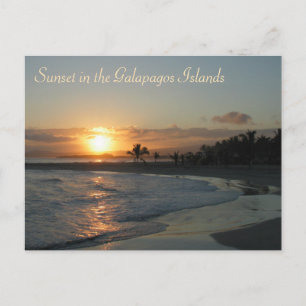 Carte Postale Coucher de soleil dans les îles Galapagos