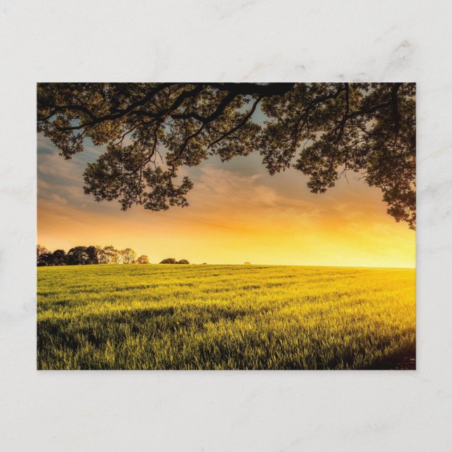 Carte Postale Coucher de soleil dans un paysage rural (Devant)