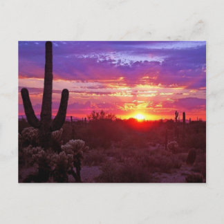Carte Postale coucher de soleil d'arizona