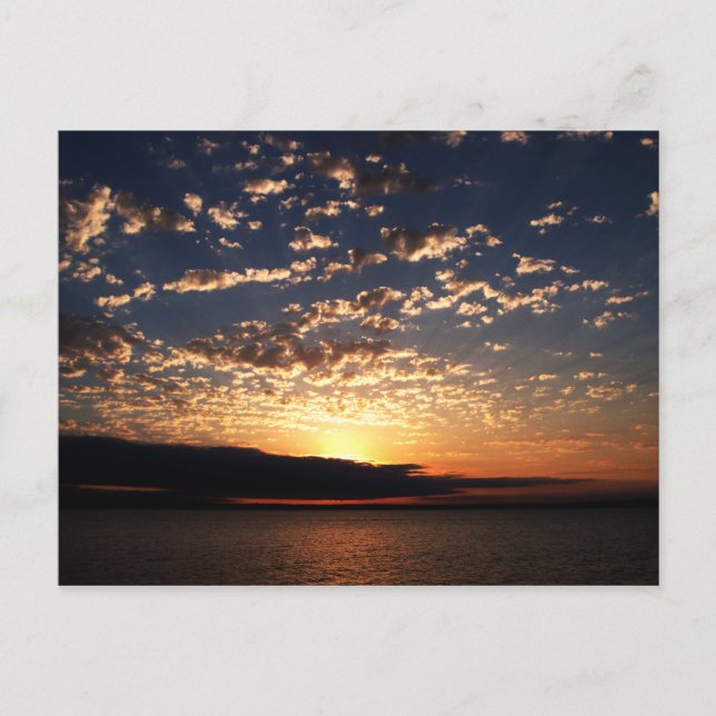 Carte Postale Coucher de soleil de Bellingham (Devant)
