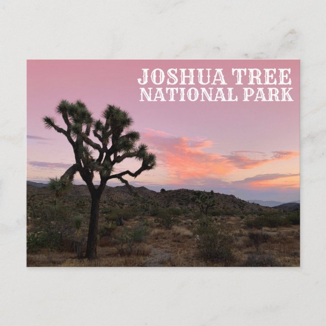 Carte Postale Coucher de soleil de Joshua Tree Californie (Devant)