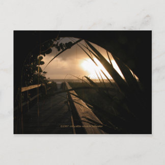 Carte Postale Coucher de soleil de Naples