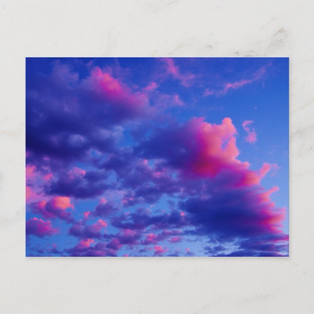 Carte Postale Coucher de soleil de néon rose (Devant)