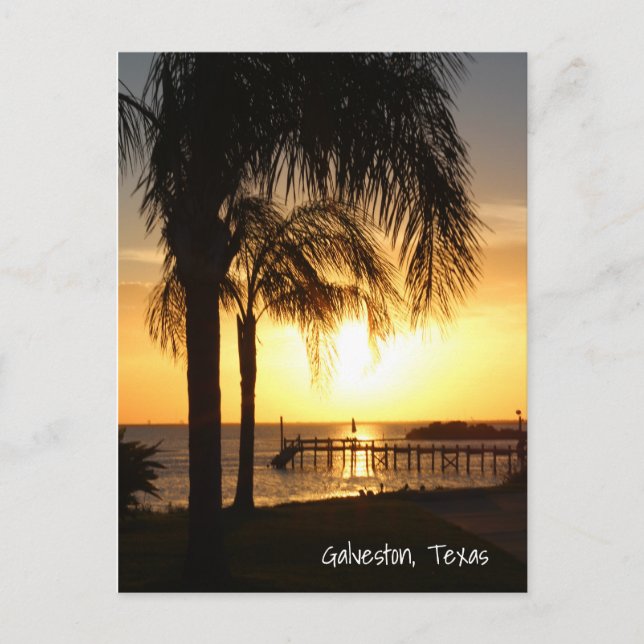 Carte Postale Coucher de soleil de palmier (Devant)