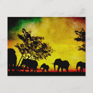 Carte Postale Coucher de soleil des éléphants