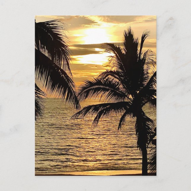 Carte Postale Coucher de soleil d'été de Puerto Vallarta (Devant)