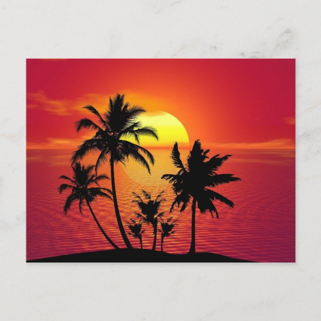 Carte Postale Coucher de soleil d'été tropical (Devant)
