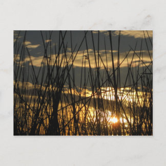 Carte Postale Coucher de soleil d'Orlando