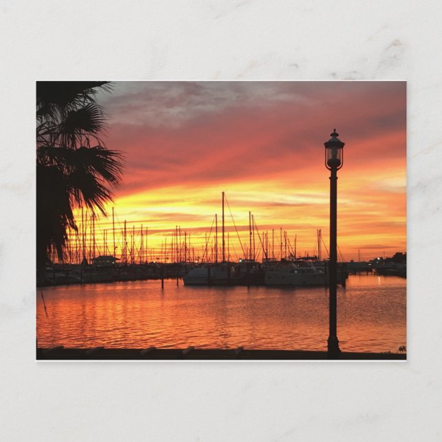 Carte Postale Coucher de soleil en Floride (Devant)