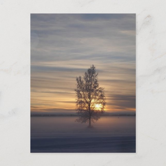 Carte Postale Coucher de soleil en hiver à Ft. Wainwright (Devant)