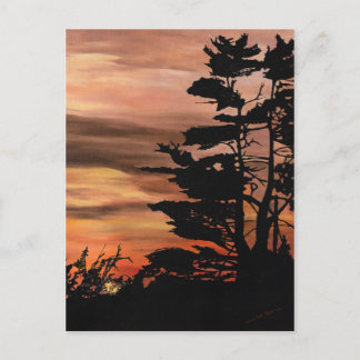 Carte postale - Coucher de soleil en silhouette
