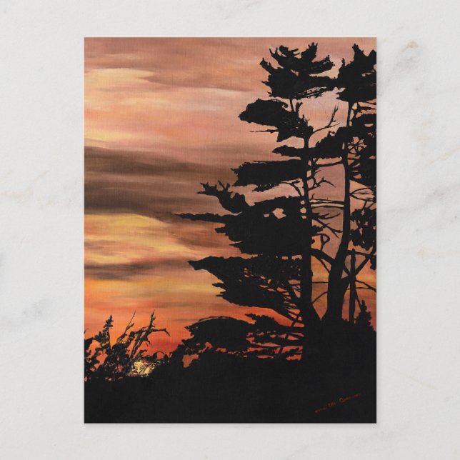 Carte postale - Coucher de soleil en silhouette (Devant)