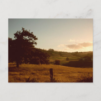 Carte Postale Coucher de soleil estival tasmanien