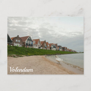 Carte Postale Coucher de soleil et cygne sur Volendam, Pays-Bas