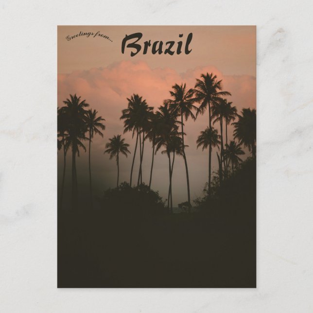 Carte Postale Coucher de soleil et palmiers au Brésil (Devant)