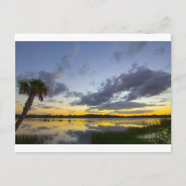 Carte Postale Coucher de soleil, George LeStrange Preserve, Fort (Devant)