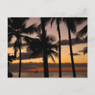Carte Postale Coucher de soleil hawaïen