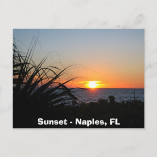Carte Postale Coucher de soleil - Naples, FL