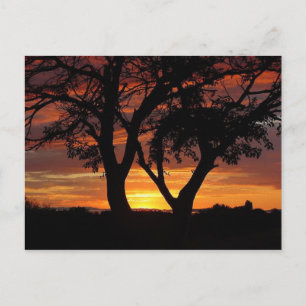 Carte Postale Coucher de soleil orange