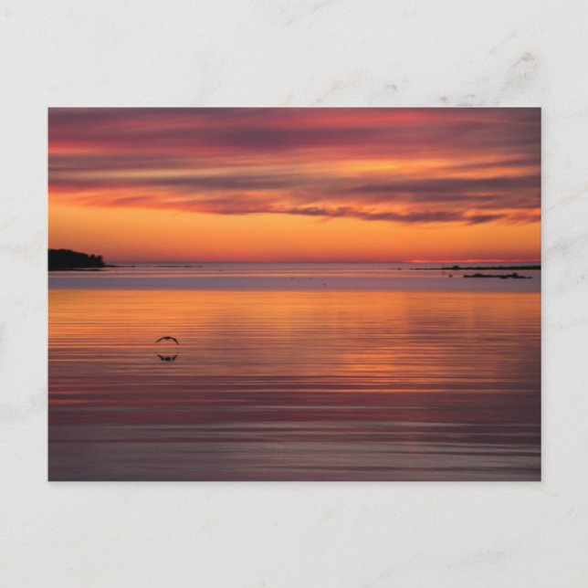 Carte Postale Coucher de soleil par la mer, Finlande CC0157 Cart (Devant)