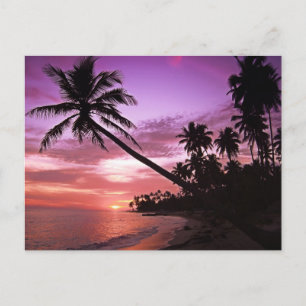 Carte Postale Coucher de soleil pittoresque