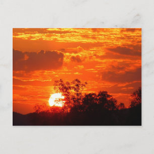 Carte Postale Coucher de soleil romantique