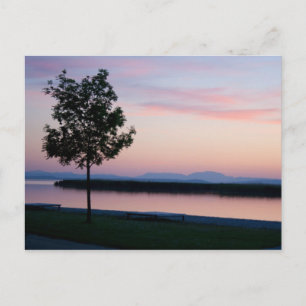 Carte Postale Coucher de soleil rose