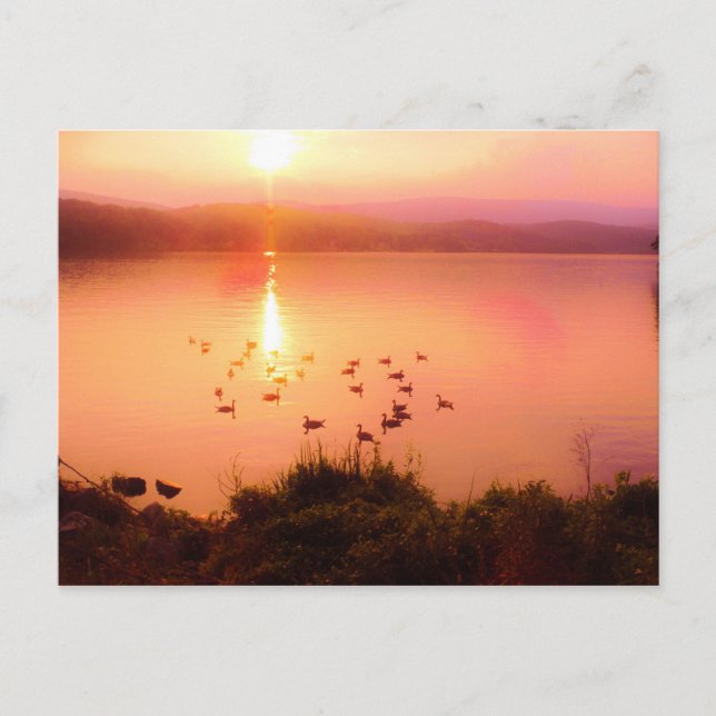 Carte Postale Coucher de soleil rose et de lac de pêche (Devant)