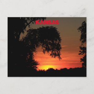 Carte Postale Coucher de soleil silhouette de l'arbre du Kansas