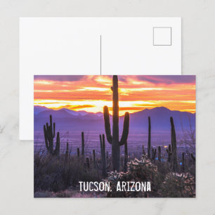 Carte Postale Coucher de soleil sur cactus du désert d'Arizona -