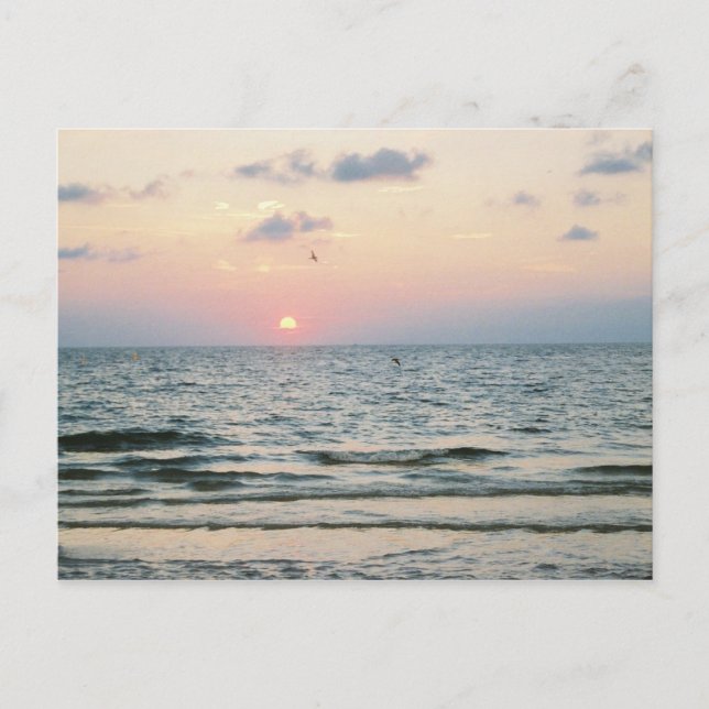Carte postale coucher de soleil sur Clearwater Bea (Devant)