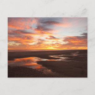 Carte Postale Coucher De Soleil Sur La Mer De Cortez