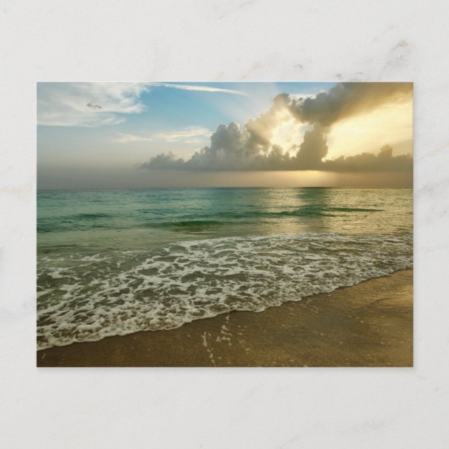 Carte Postale Coucher de soleil sur la plage Anna Maria (Devant)
