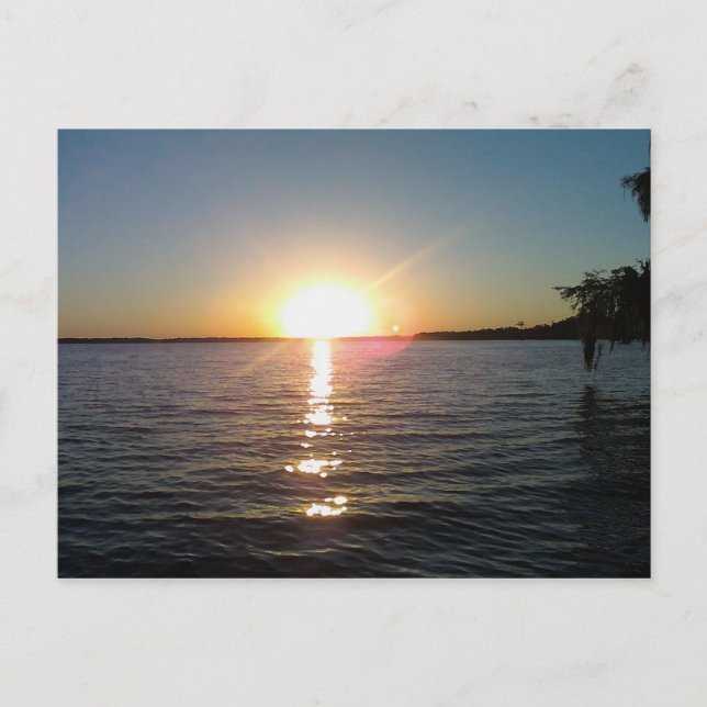 Carte Postale Coucher de soleil sur le Bayou (Devant)