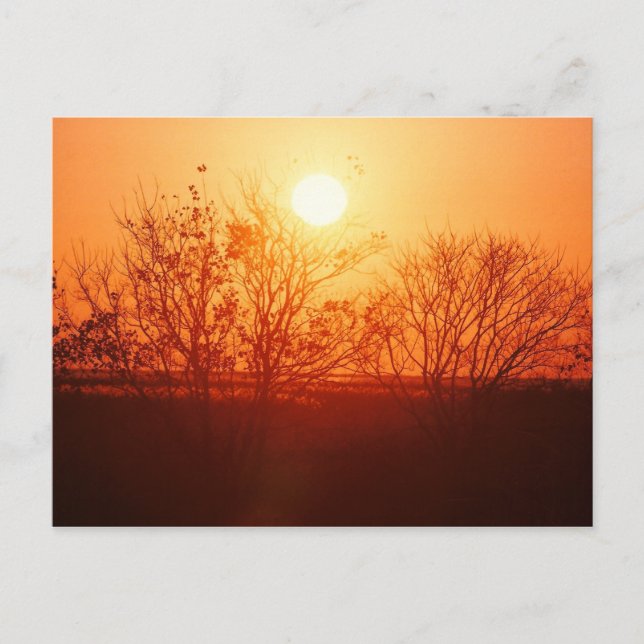 Carte Postale Coucher de soleil sur le Bayou (Devant)