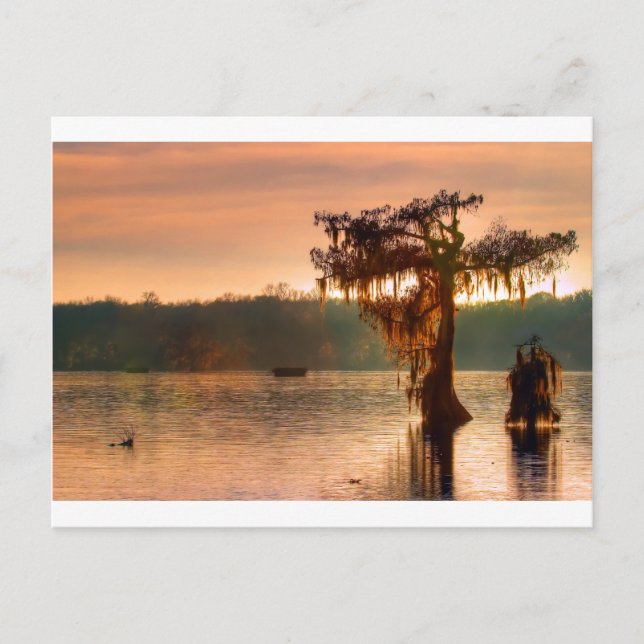 Carte Postale Coucher de soleil sur le bayou 5769 (Devant)