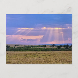 Carte Postale Coucher de soleil sur le Masai Mara.