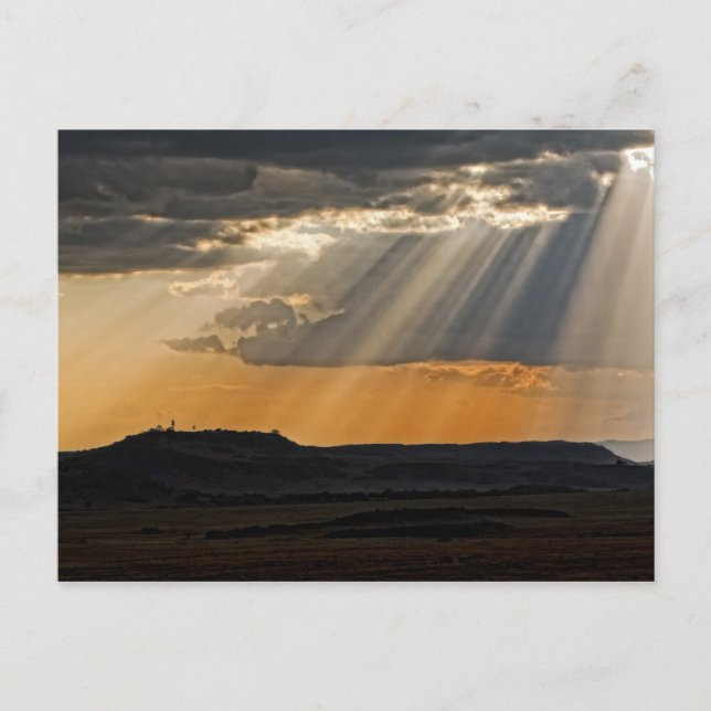 Carte Postale Coucher de soleil sur le Masaï Mara. (Devant)