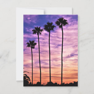Carte Postale Coucher de soleil sur le palmier de Californie