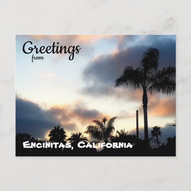 Carte Postale Coucher de soleil sur les palmiers d'Encinitas Cal (Devant)