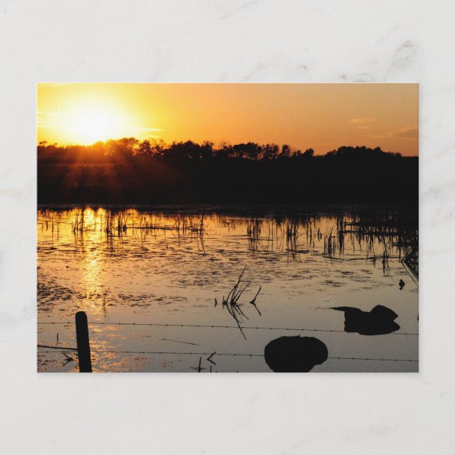 Carte Postale Coucher de soleil sur l'étang (Devant)
